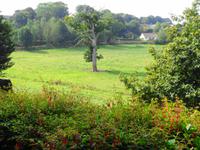 Guernsey 
