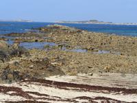 Guernsey 
