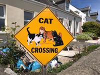 Guernsey