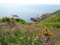 Guernsey