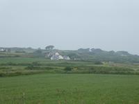 Guernsey
