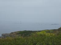 Guernsey