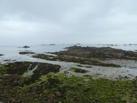 Guernsey