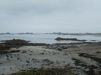 Guernsey
