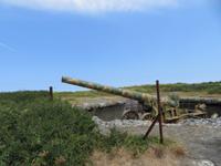 Guernsey
