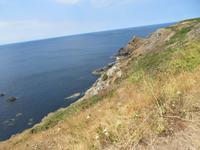 Guernsey