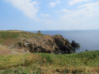 Guernsey