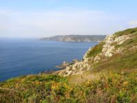 Guernsey
