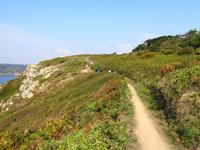 Guernsey