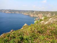 Guernsey