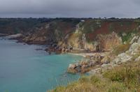Guernsey