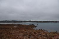 Guernsey