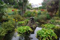 Guernsey
