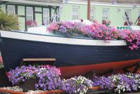 Hafen von Gorey