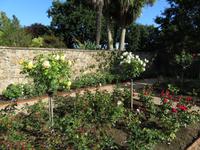 Howard Davis Park