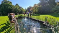 Im Privatgarten von Mr. Miles - am Karpfenteich