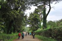 Insel Sark