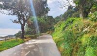 Inselrundfahrt auf Jersey - Straße an der Ostküste