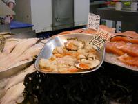 Jakobsmuschlen