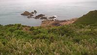 Jersey (3)