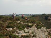 Jersey 2011