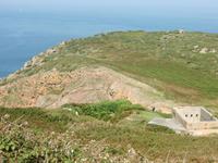 Jersey 2011