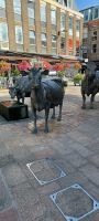 Jersey Cows