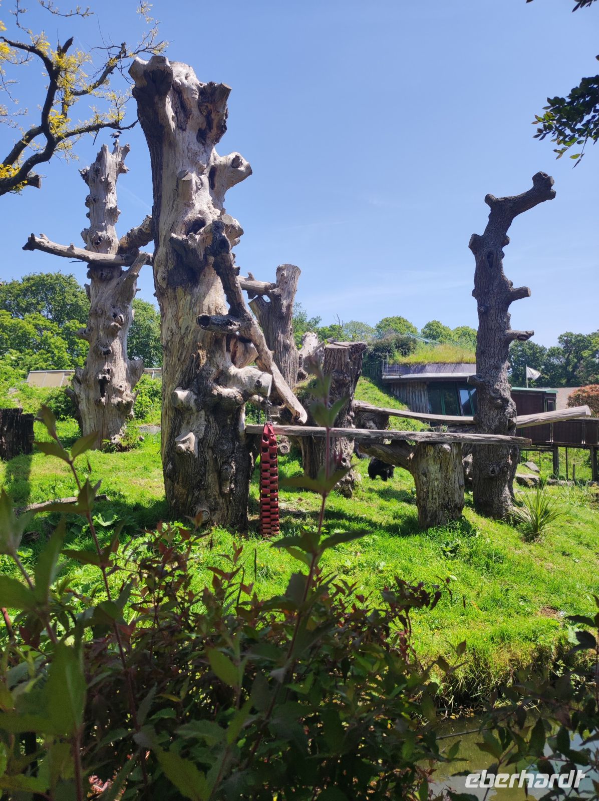 Jersey Zoo
