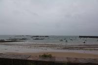 Jersey im Regen