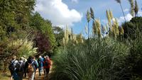 Jersey, Corbier Walk