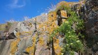 Jersey, Natur1