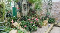 Jersey, Orchid Foundation