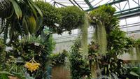 Jersey, Orchid Foundation