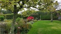 Jersey, Privatgarten Grey Skinner
