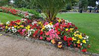 Jersey, St. Helier, Howard Davis Park