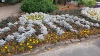 Jersey, St. Helier, Howard Davis Park