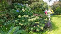 Jersey, St. Helier, Privatgarten von Mrs.Lea