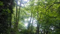 Jersey, Wanderung entlang der 