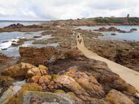 Jersey, Weg zum La Corbière Leuchtturm bei Ebbe 