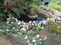 Jersey, garden