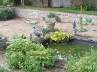 Jersey, garden