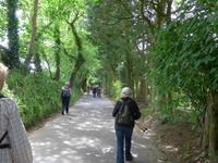 Jersey-Green Lane