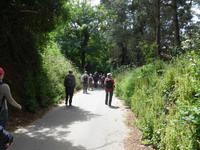 Jersey-Green Lane