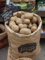 Jersey-Kartoffeln
