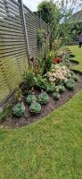 Jersey-Privatgarten 2 innen