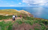 Küstenwanderung auf Jersey bei Plemont