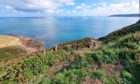 Küstenwanderung auf Jersey bei Plemont