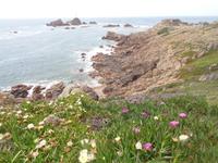 La Corbière