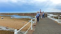 La Rocque Harbour - die südlichste Spitze Jerseys