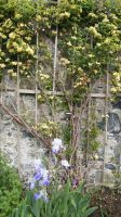 La Seigneurie, House and Gardens - Sark 